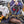 [Pre-order] Clukay (Dusky Overwatch Ver.) - 1/7 Scale Figure - Project Neural Cloud CALBONE at   GIRLS' FRONTLINE OFFICIAL STORE |  