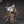 [Pre-order] Clukay (Dusky Overwatch Ver.) - 1/7 Scale Figure - Project Neural Cloud CALBONE at   GIRLS' FRONTLINE OFFICIAL STORE |  