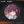 [Pre-order] Synergy Resupply - Blind Box Holographic Badge - Exilium YOGOODS at   GIRLS' FRONTLINE OFFICIAL STORE |  